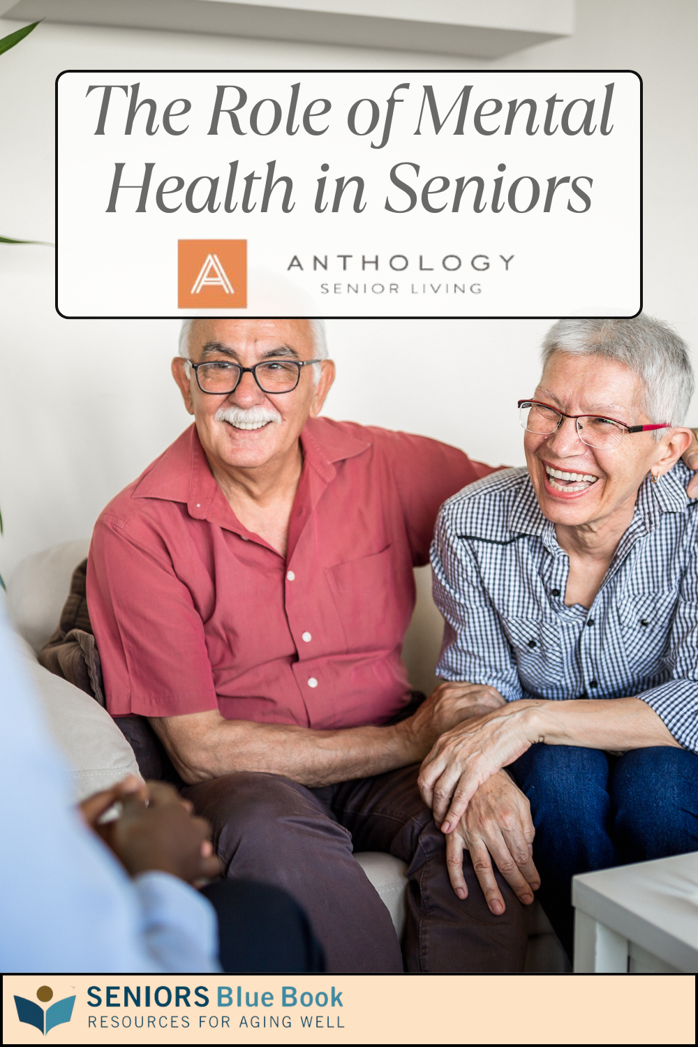 The Role of Mental Health in Seniors